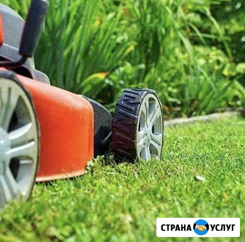 Стрижка газона Покос травы Дубовое - изображение 1