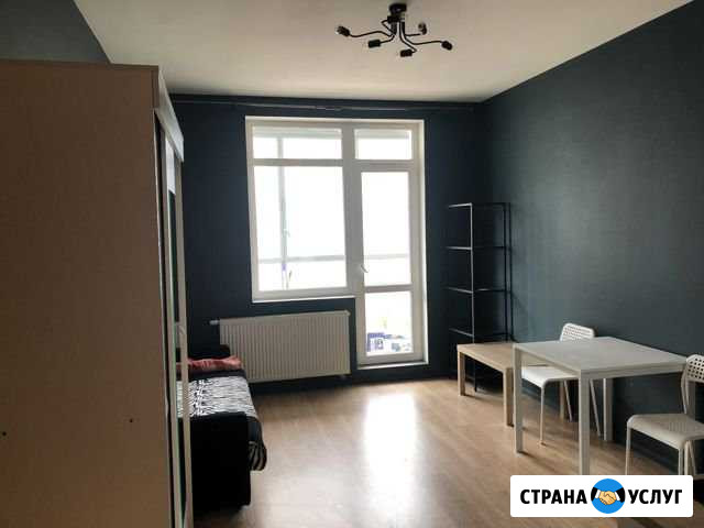 Домашний Санкт-Петербург - изображение 1