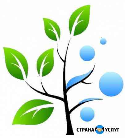 Прием отработанного растительного масла (Фритюра) Уфа