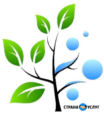 Прием отработанного растительного масла (Фритюра) Уфа - изображение 1