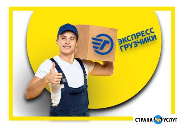 Грузчики, разнорабочие Севастополь Севастополь - изображение 1