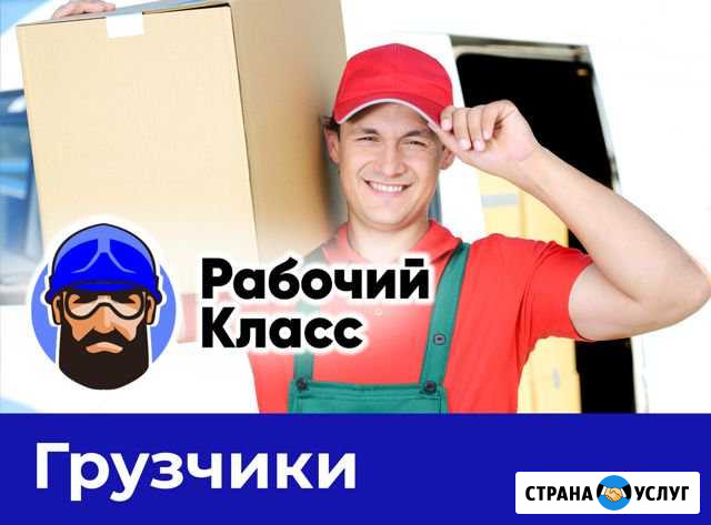 Грузчики Ростов-на-Дону - изображение 1