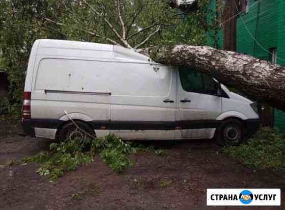 Спилить дерево Костерево