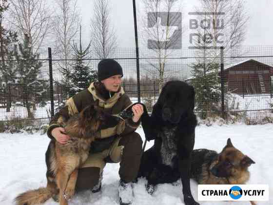 Дрессировка собак. Гостиница Москва