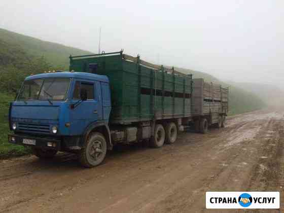 Скотовоз. Перевозка крупнорогатого и мелкорогатого Южно-Сухокумск