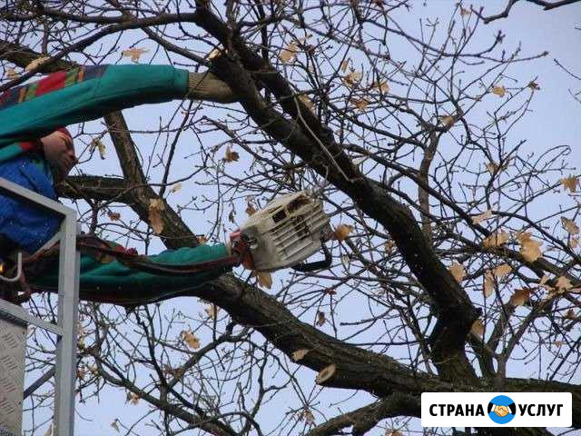 Пилка деревьев Цимлянск - изображение 1