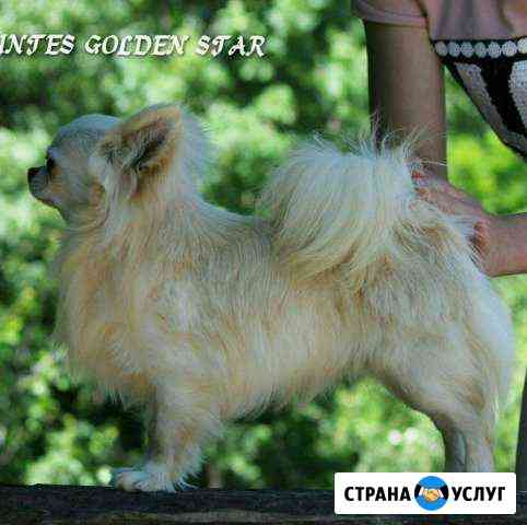 Вязка Новороссийск