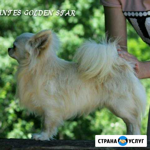 Вязка Новороссийск - изображение 1