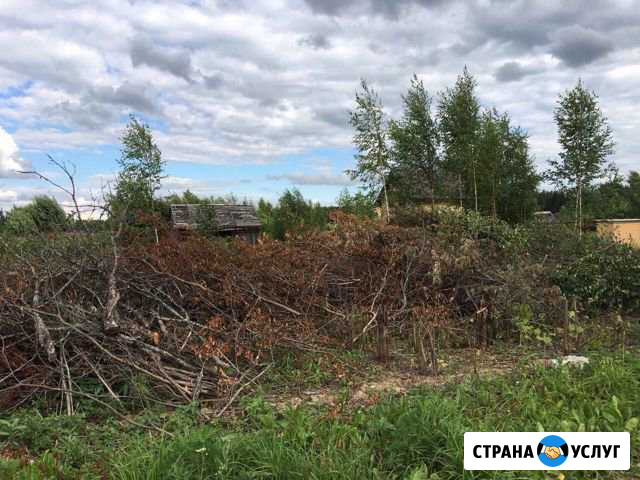 Расчистка участка Самара - изображение 1