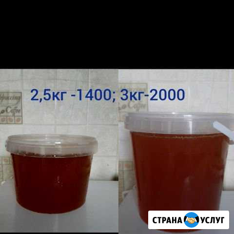 Продам мёд Гатчина - изображение 1