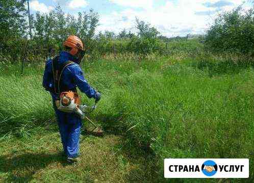 Покос -травы -муравы Каневская