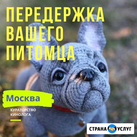 Передержка Люберцы - изображение 1