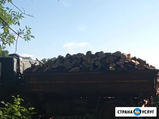 Дрова пеньками и колотые, твердых пород Советская - изображение 1