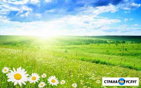 Разнорабочие Кемерово