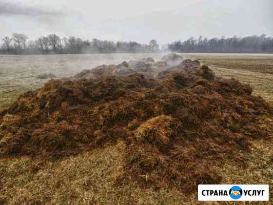 Навоз, Земля, Перегной, Опилки, Песок, Щебень Тверь