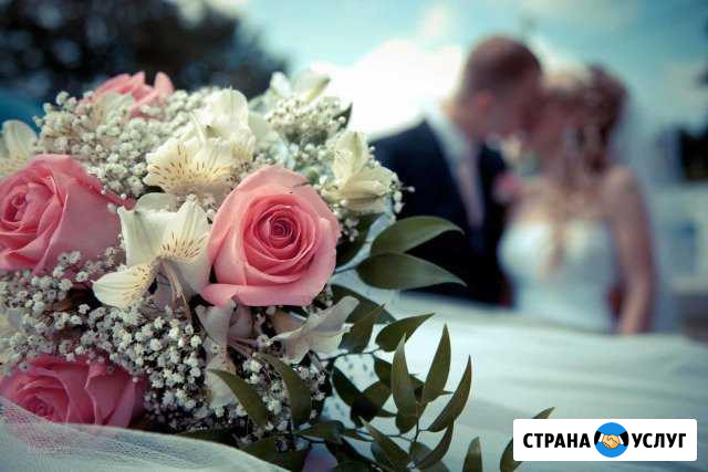 Видеограф и фотограф на свадьбу Сергиев Посад - изображение 1