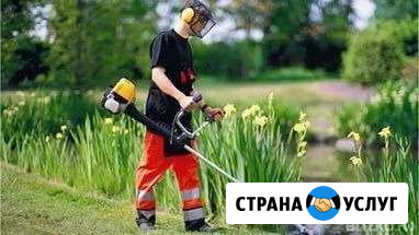 Покос травы,бурьяна Железногорск - изображение 1
