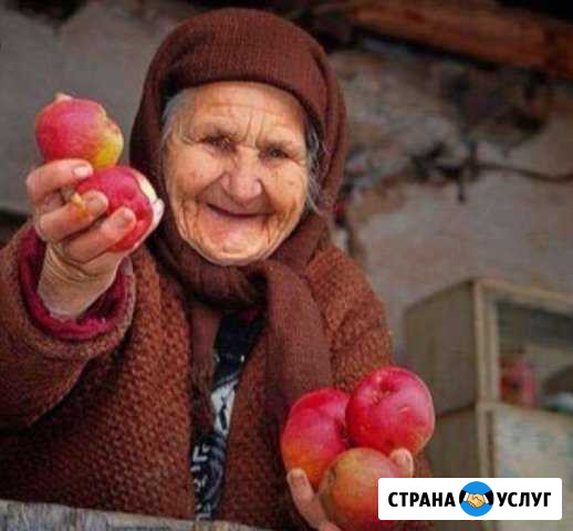 Возьму на пожизненное обеспечение Иваново - изображение 1