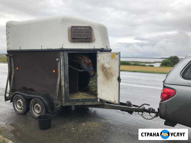 Перевозка лошадей, мото техники, грузов Курганинск - изображение 1