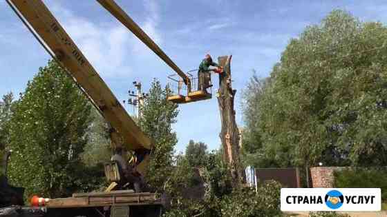 Расчистка участков, удаление деревьев, демонтаж Сатинка