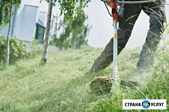 Спил деревьев,скос травы Городище