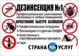 Уничтожение клопов тараканов муравьев.гарантия Березовский - изображение 1