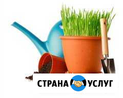 Работы на дачных участках Вологда - изображение 1