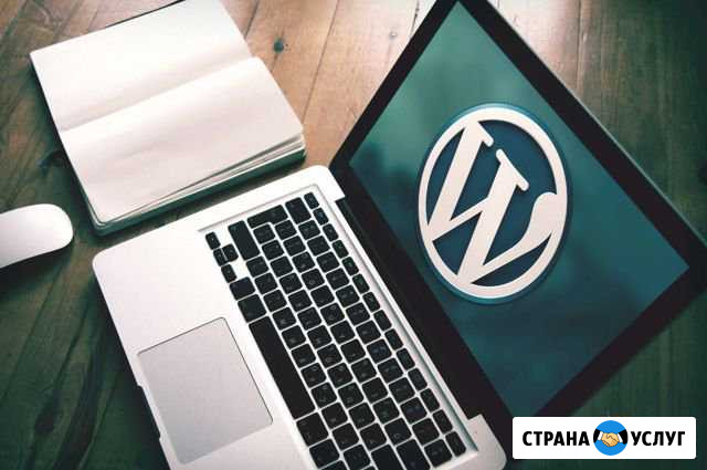 Создание сайтов на WordPress Байкит - изображение 1