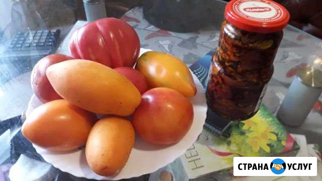 Вяленые помидоры Стерлитамак - изображение 1