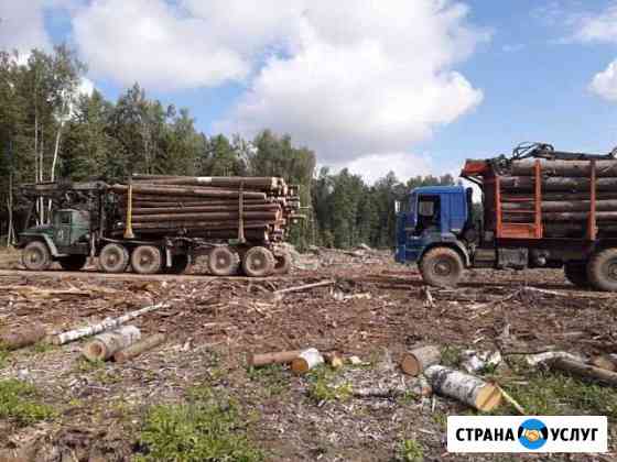Вырубка,корчевка,мульчирование,расчистка,Вывоз дре Подольск