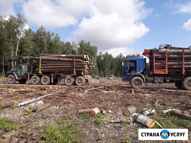 Вырубка,корчевка,мульчирование,расчистка,Вывоз дре Подольск - изображение 1