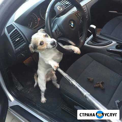 Химчистка и полировка автомобилей Селятино - изображение 1