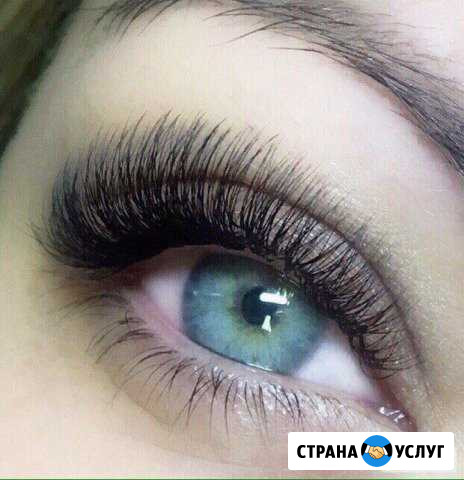 Услуги Зеленогорск - изображение 1