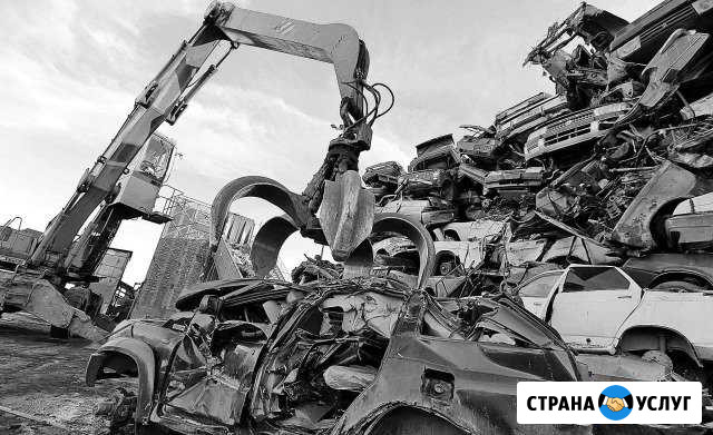 Утилизация автомобилей Зеленодольск - изображение 1