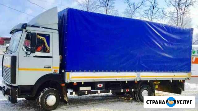 Реклама на моем грузовом авто Волгоград - изображение 1