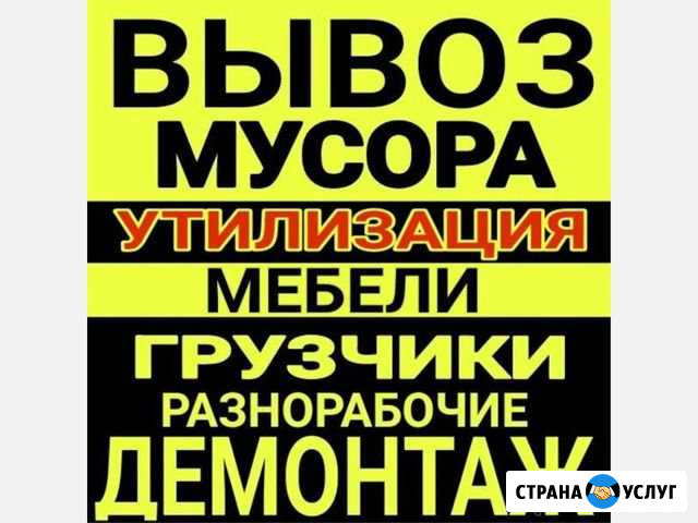 Вывоз мусора, демонтажные работы Лесной - изображение 1