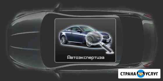 Проверка авто перед покупкой Курган