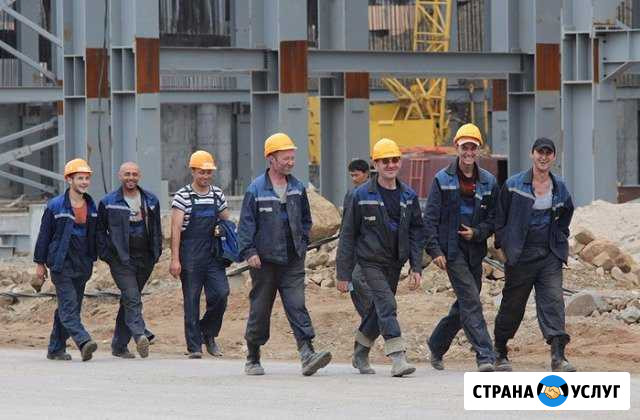 Разнорабочие Калининград - изображение 1