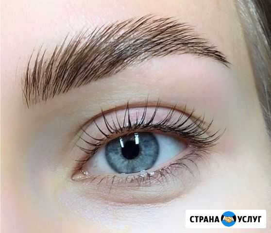 Долговременная укладка бровей Великие Луки - изображение 1
