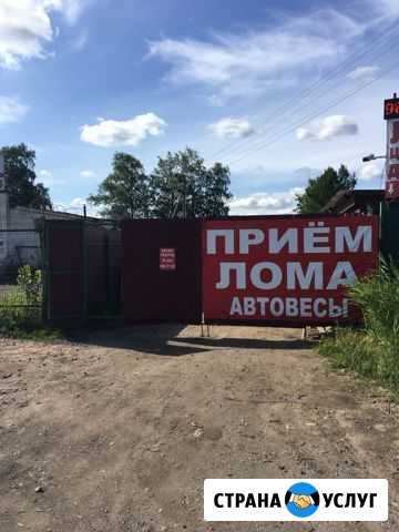 Приём лома Тельмана - изображение 1