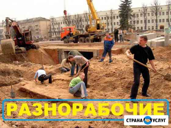 Разнорабочие РФ - Землекопы Видное