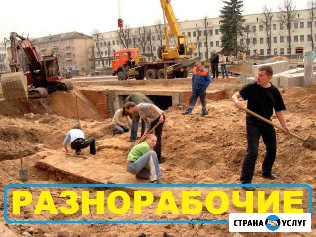 Разнорабочие РФ - Землекопы Видное - изображение 1