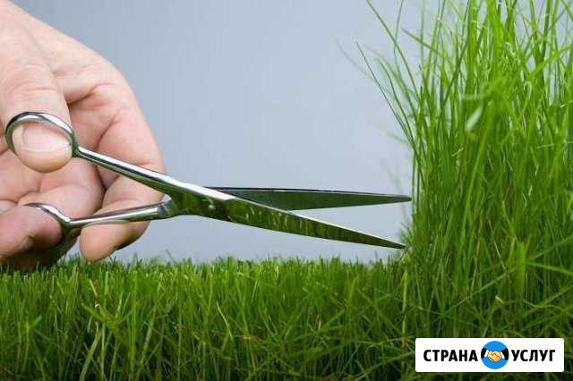 Покос травы Елизаветинская Марьянская Белозёрный Краснодар - изображение 1