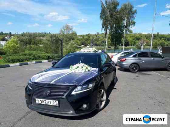 Аренда Авто Старый Оскол