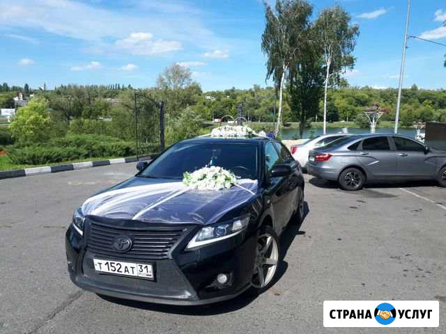 Аренда Авто Старый Оскол - изображение 1