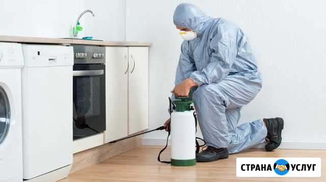 Услуги дезинсектора Самара - изображение 1