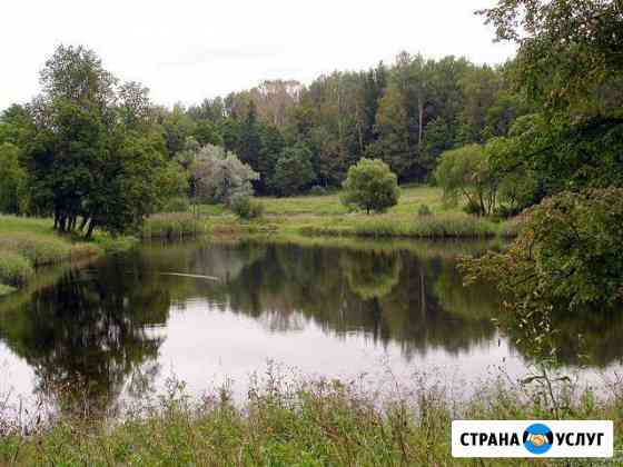 Юридические услуги Саранск