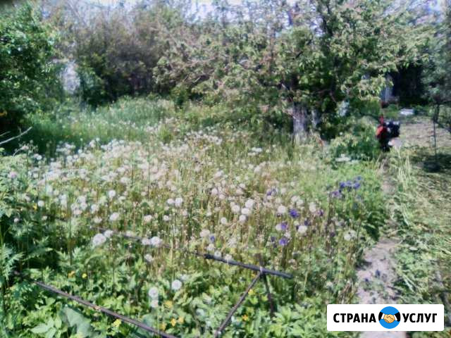 Скос травы. Покос травы.Вспашка земли Челябинск - изображение 1