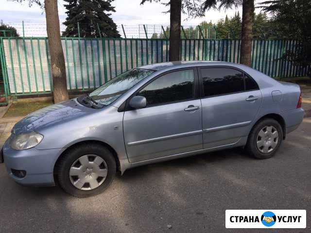 Аренда авто с водителем Сочи - изображение 1