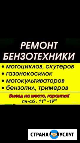 Ремонт бензотехники Саратов - изображение 1